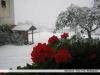 Schnee_III_19.09.11.jpg