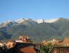 IMG_5515.jpg