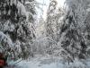 snow2.jpg