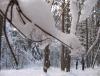 snow.jpg