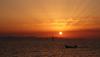 DSC02650.jpg