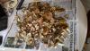 2015-09-09_14-48-09_85.jpg