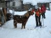 chamois2.jpg