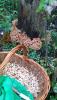 IMG-20160922-WA0001.jpg