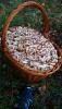 IMG-20160922-WA0002.jpg