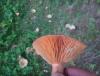 DSC00471.JPG