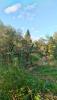 P_20170916_162701_HDR.jpg