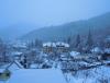 DSCN9868.JPG