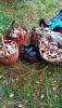 IMG-20190915-WA0011.jpg
