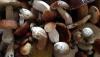 IMG-20220927-WA0007.jpeg