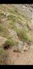 Screenshot_20220825-204133_Video Player.jpg