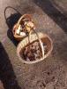 IMG_20220923_141529.jpg