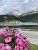 IMG_7200.JPEG