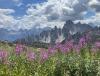 IMG_7156.JPEG