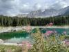 IMG_6553.JPEG