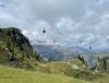 IMG_6775.JPEG