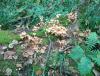 IMG_20230916_084639.jpg