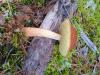 IMG-20230916-WA0010.jpg