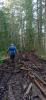 IMG-20230902-WA0012.jpg
