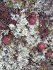 IMG-20230902-WA0015.jpg