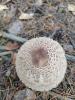 b3766169-18da-4997-a04b-76ff67637920.jpeg