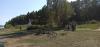 IMG_20240914_131015.jpg