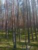 IMG-20240908-WA0011.jpg