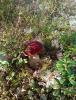 IMG-20240908-WA0007.jpg