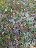 IMG-20240908-WA0004.jpg