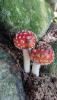 IMG-20250906-WA0007.jpg
