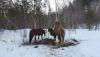 IMG-20220407-WA0008.jpg
