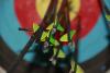 _MG_0016.JPG