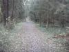 DSC08299.JPG