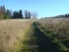 DSC08302.JPG