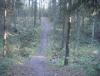DSC08295.JPG