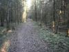 DSC08297.JPG