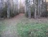 DSC08298.JPG