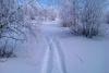 IMAG0298.jpg