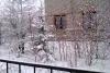 IMAG0283.jpg