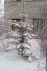 IMAG0284.jpg