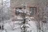 IMAG0285.jpg