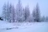 IMAG0293.jpg
