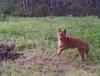 IMG_20131010_134946.jpg