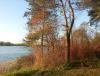 20141004_181545.jpg