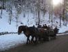 IMG_1673.jpg