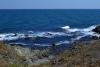 DSC_0531.JPG