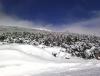IMG_20160110_124805.jpg