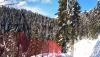 IMG_20190121_145710.jpg