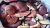 IMG-20221007-WA0006.jpeg