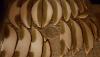 IMG-20221005-WA0012.jpeg